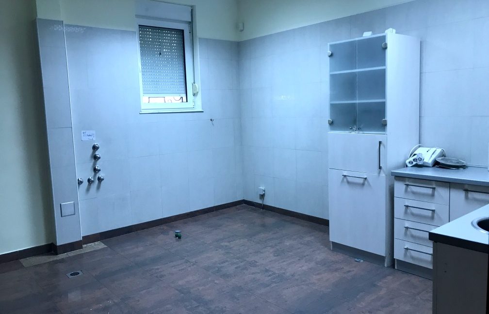 Rent Luxury House Dedinje (10)