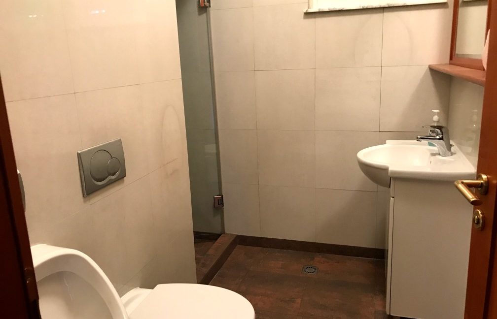 Rent Luxury House Dedinje (9)