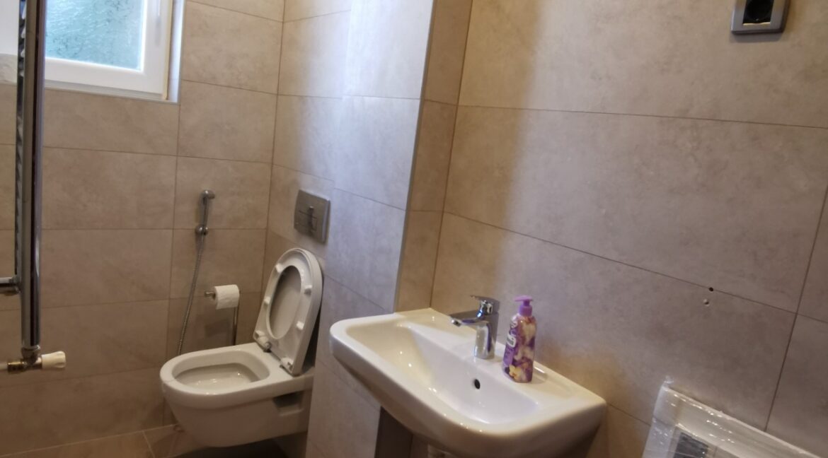 Dedinje 220sqm house for rent (14)