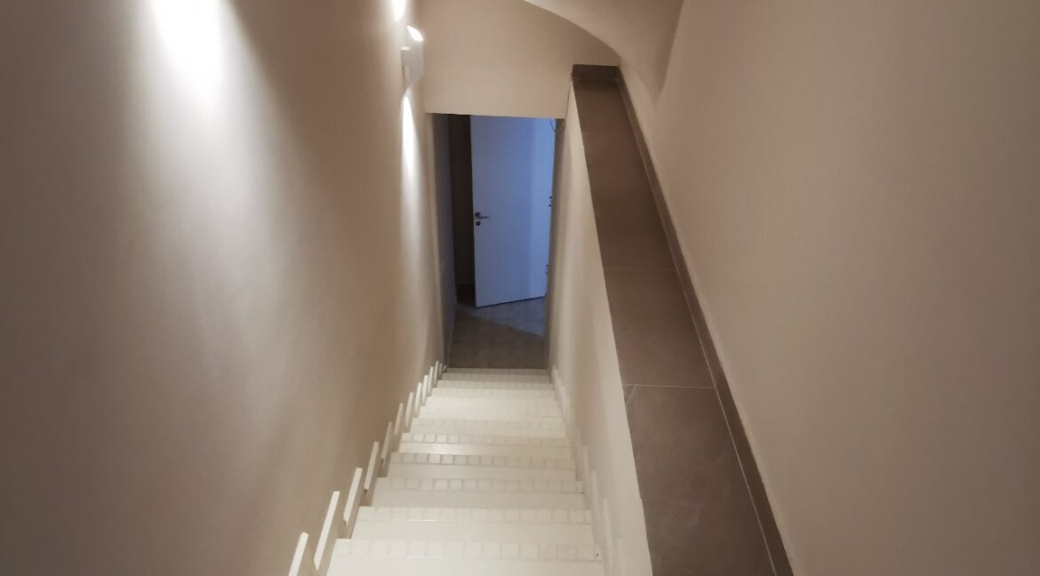 Dedinje 220sqm house for rent (15)