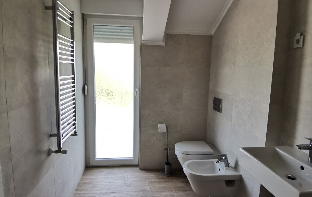 Dedinje 220sqm house for rent (32)