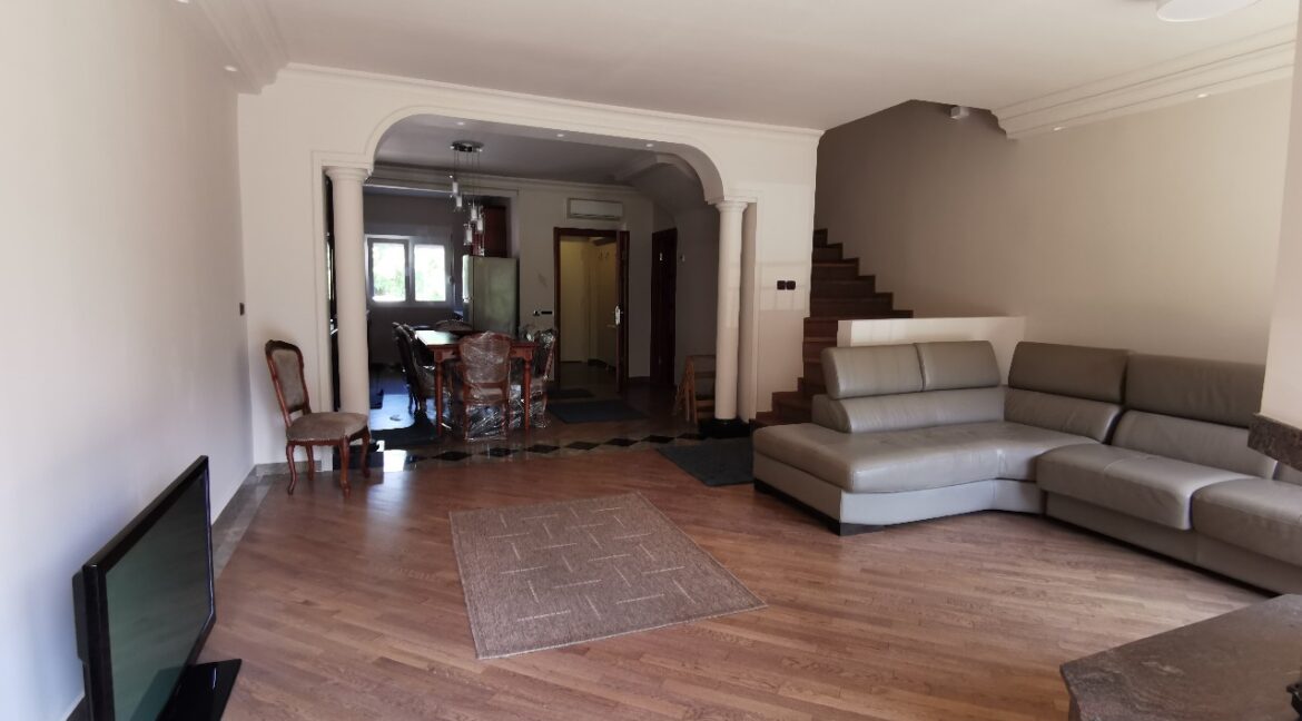 Dedinje 220sqm house for rent (5)