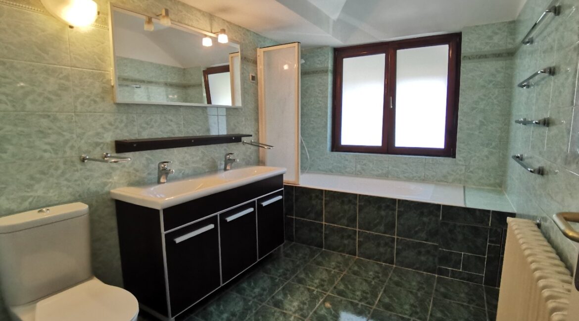 Dedinje 300sqm house for rent (3)