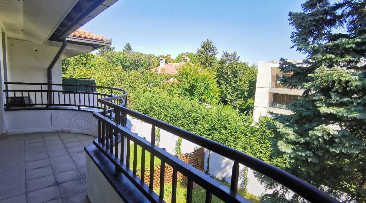 Dedinje 300sqm house for rent (5)