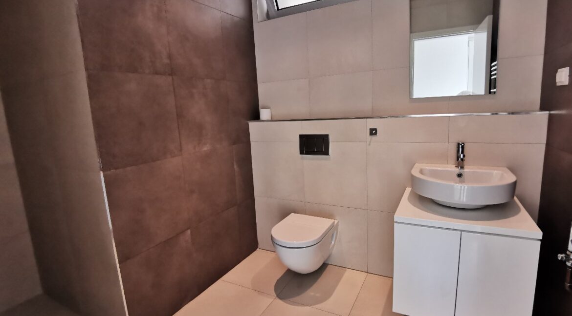 Banovo brdo house for rent (5)