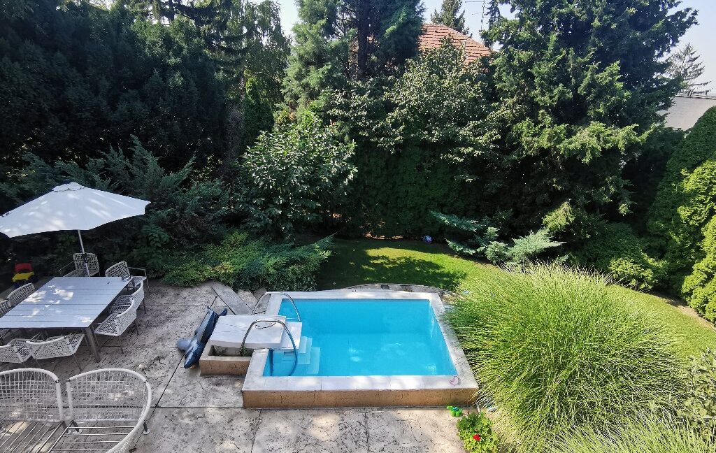 Dedinje house for sale (1)