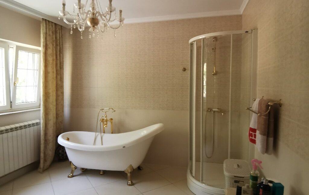 Dedinje house for sale (10)