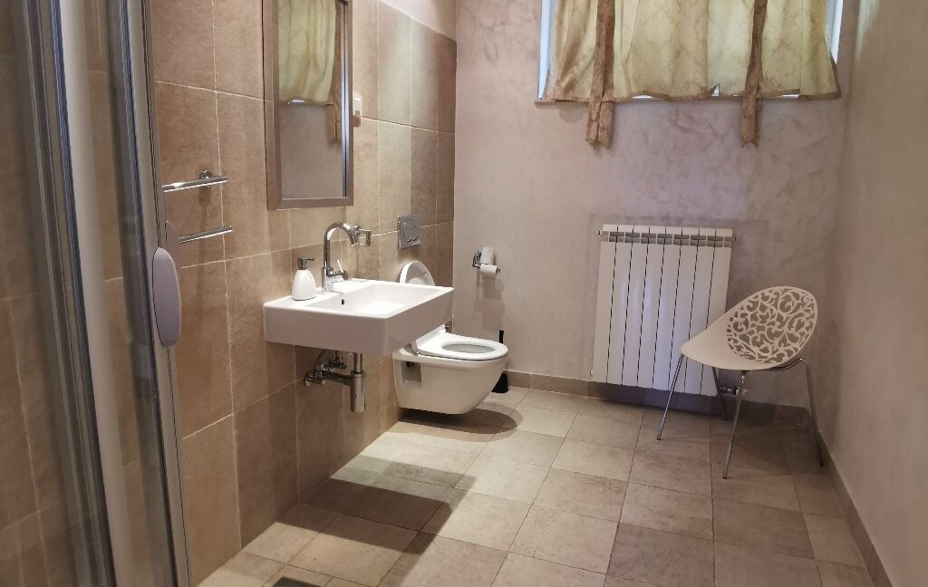 Dedinje house for sale (11)