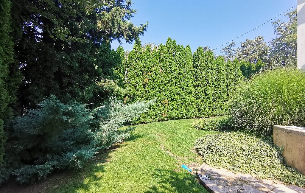 Dedinje house for sale (13)