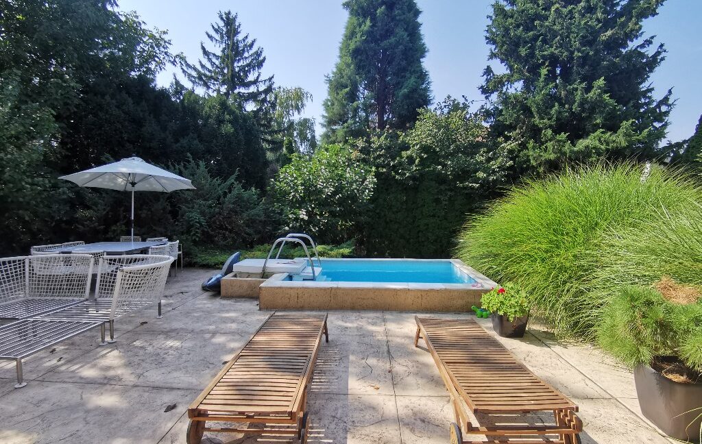 Dedinje house for sale (17)