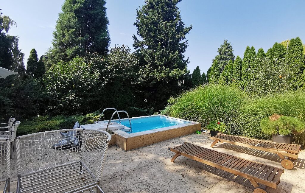 Dedinje house for sale (18)