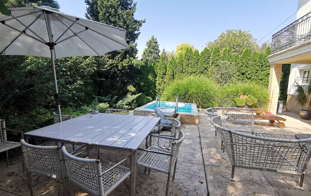 Dedinje house for sale (19)