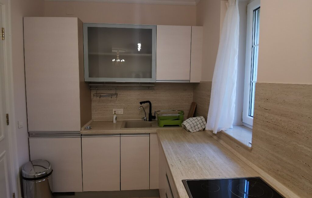Dedinje house for sale (3)