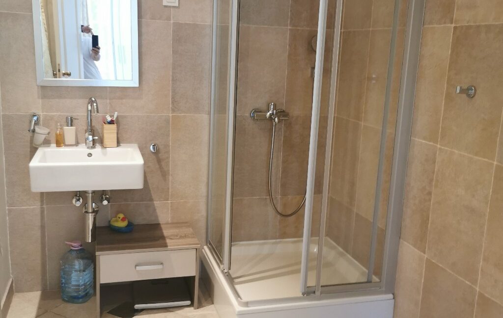 Dedinje house for sale (4)