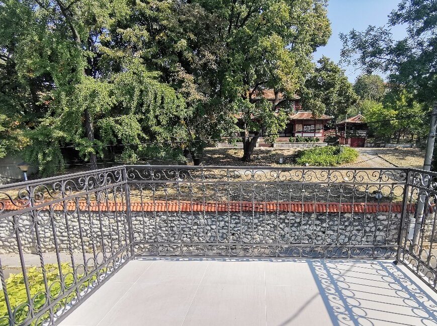 Dedinje house for sale (6)