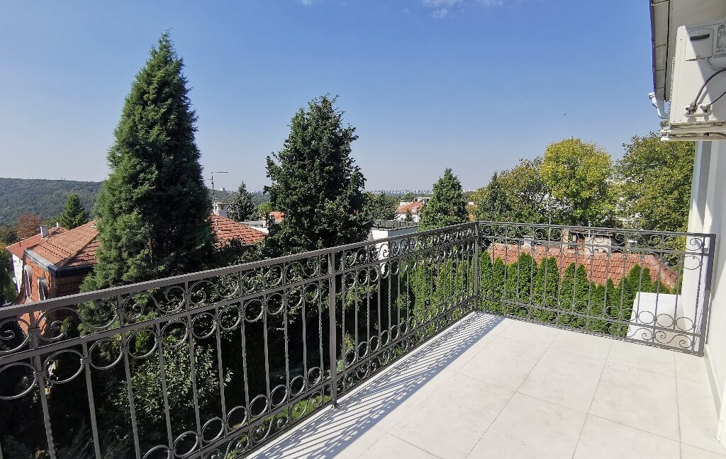 Dedinje house for sale (9)