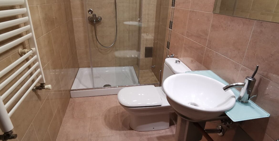 Rent house dedinje (12)