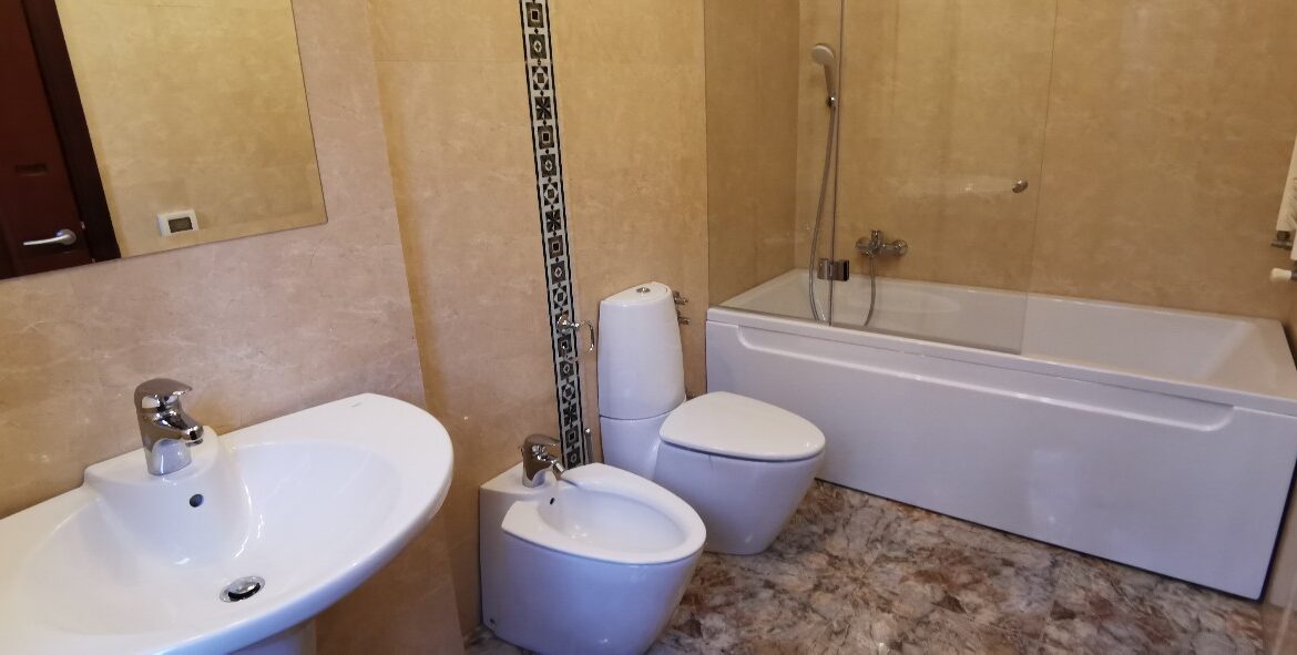 Rent house dedinje (19)