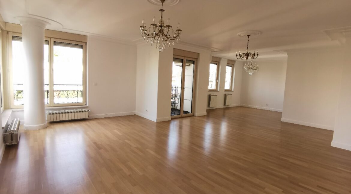 Vračar 220sqm luxury apartment for rent (3)
