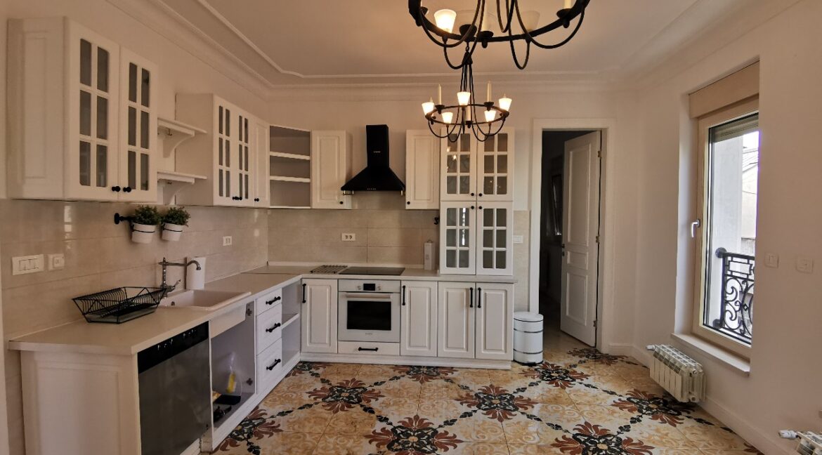 Vračar 220sqm luxury apartment for rent (9)