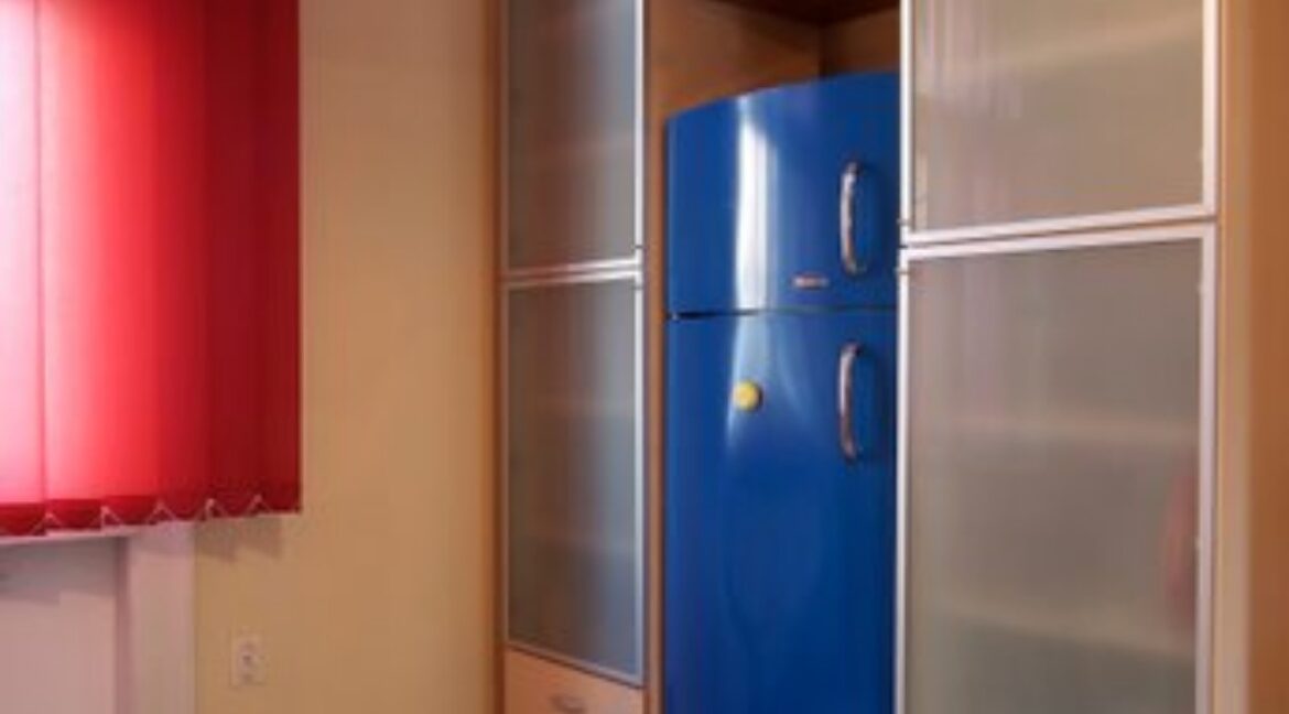 Kralja Petra apartment for rent (29)