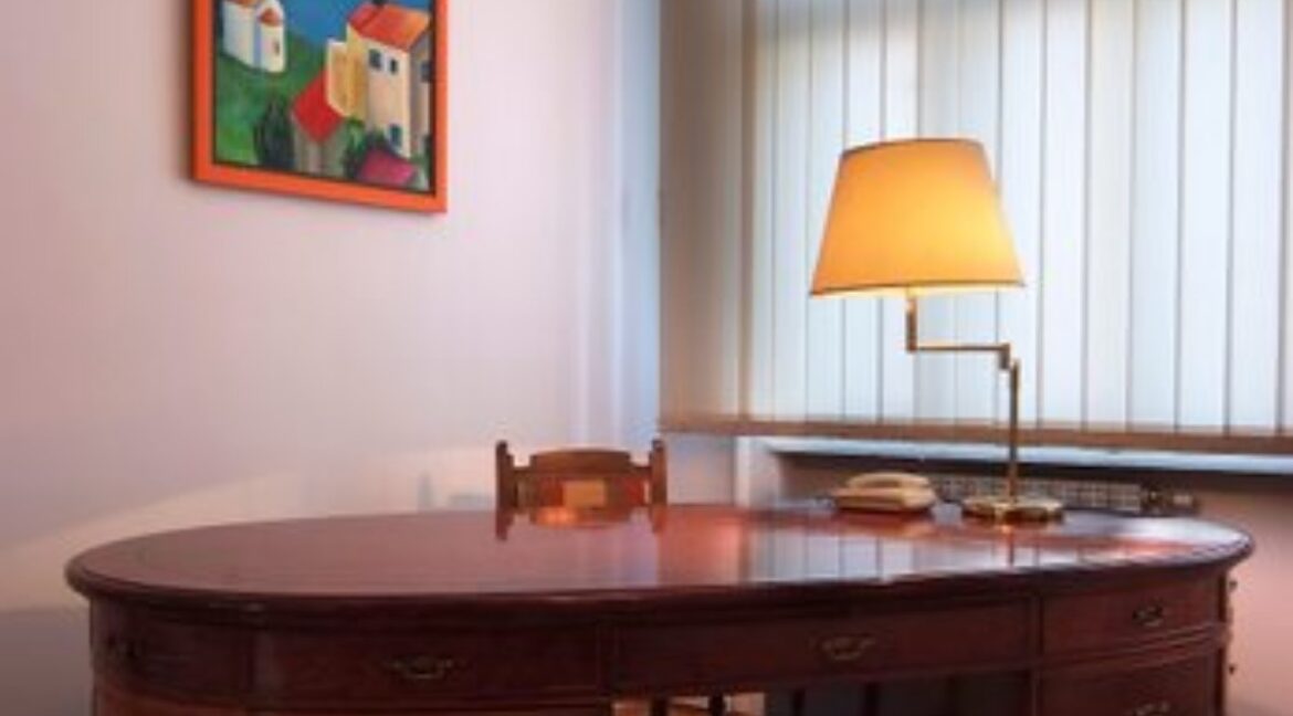 Kralja Petra apartment for rent (33)