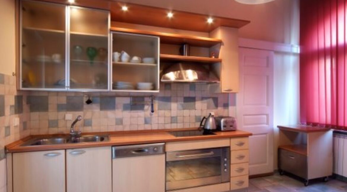 Kralja Petra apartment for rent (39)