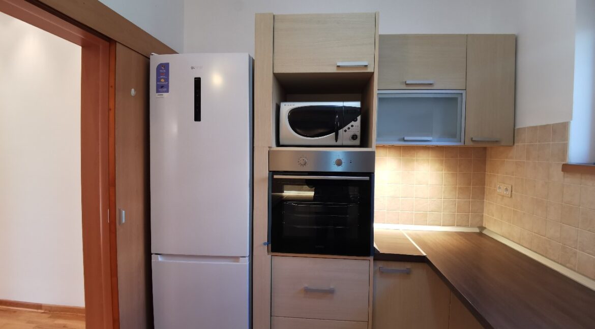 Dedinje 160sqm apartment with garden for rent (13)