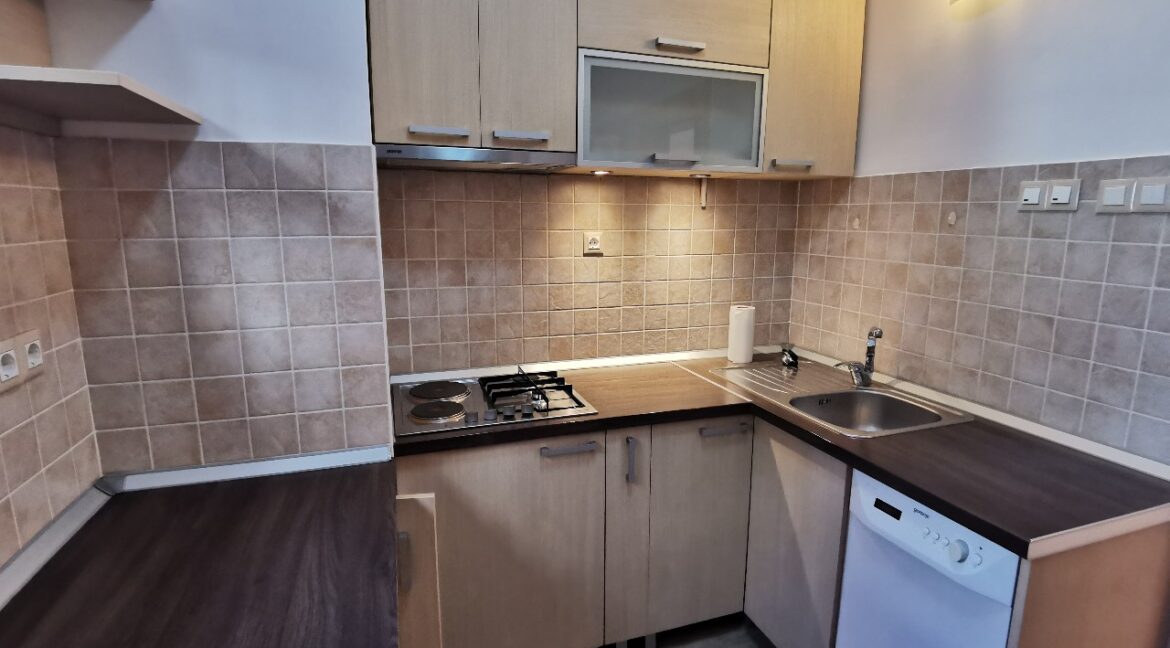 Dedinje 160sqm apartment with garden for rent (14)
