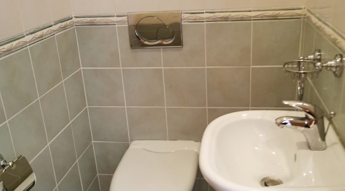 Dedinje 160sqm apartment with garden for rent (9)