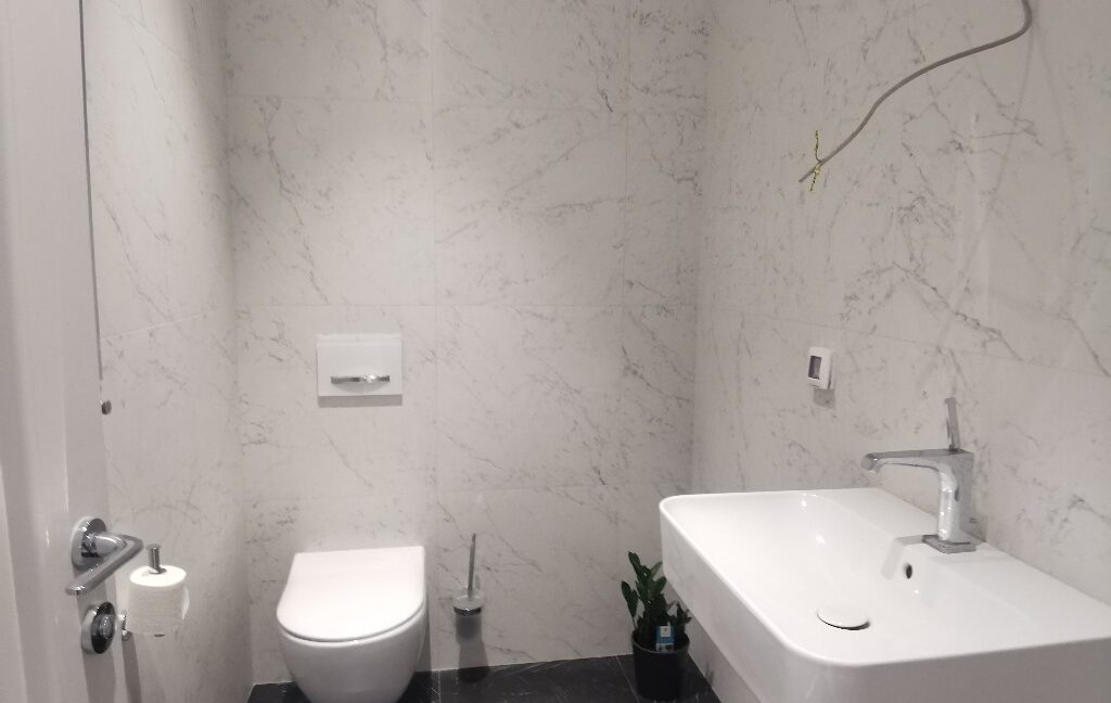 Vračar luxury apartment for rent (18)