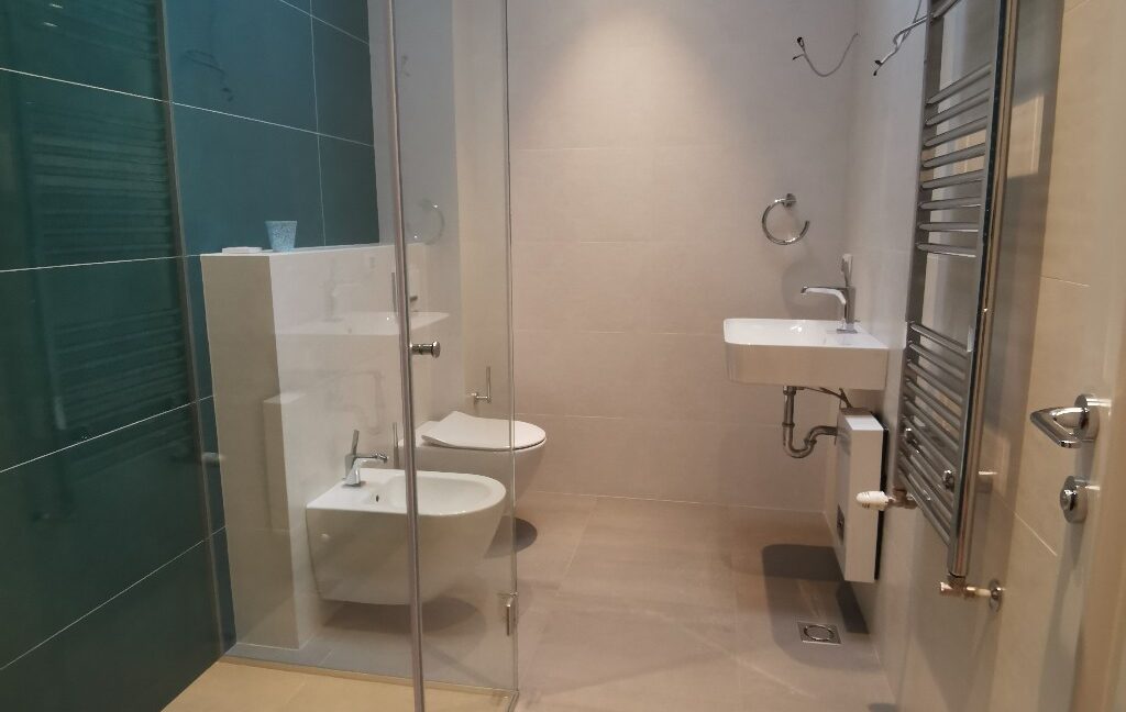 Vračar luxury apartment for rent (6)
