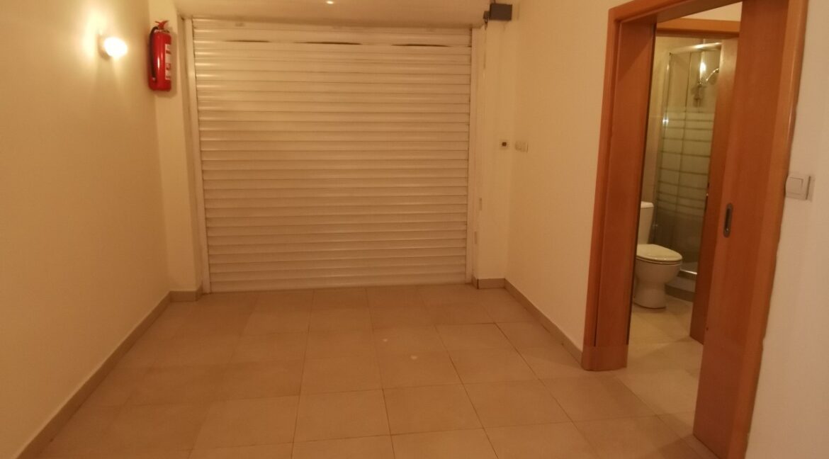 rent house dedinje (19)