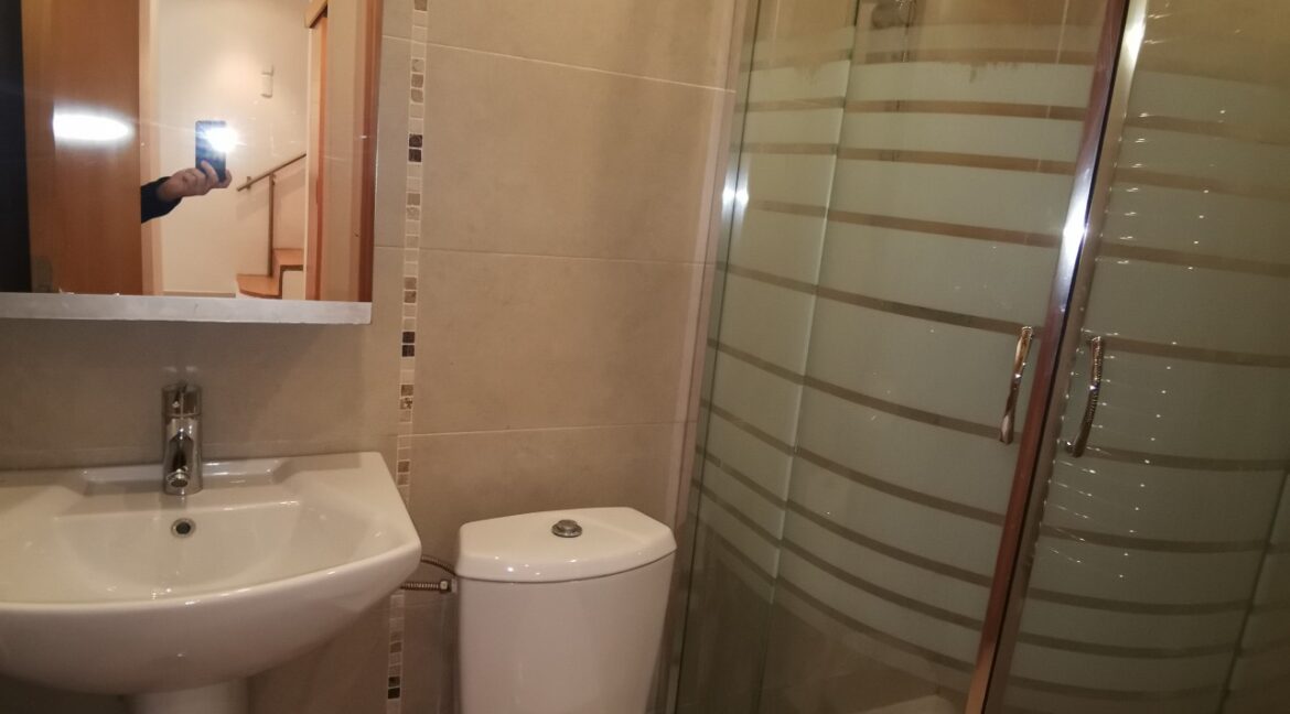 rent house dedinje (20)