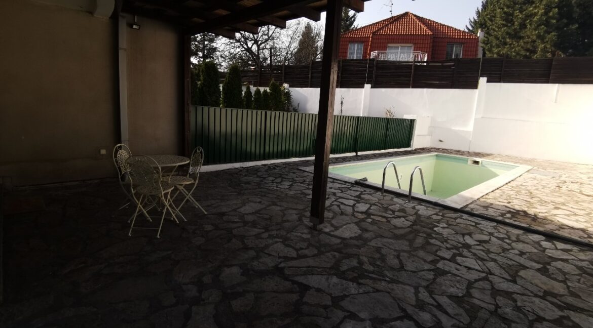 rent house dedinje (22)