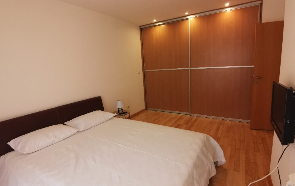 rent house dedinje (7)
