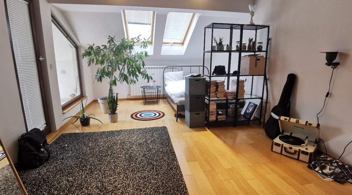 Dedinje house with swimming pool for rent (13)