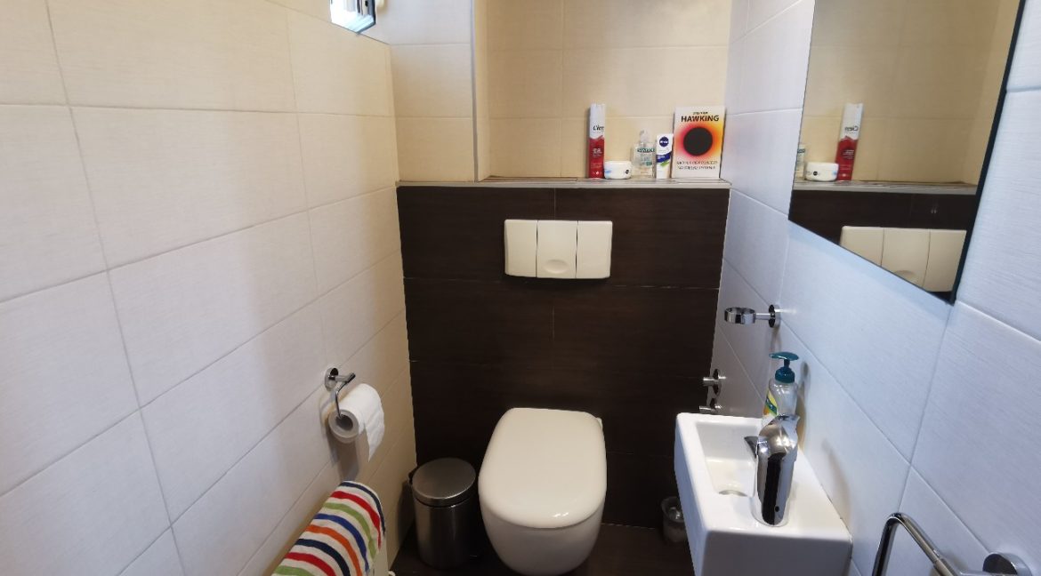 Dedinje house with swimming pool for rent (15)