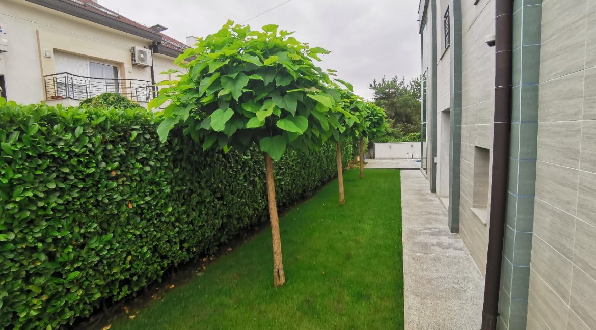 Dedinje house with swimming pool for rent (18)