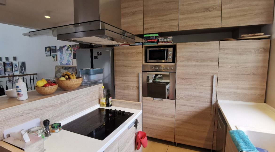 Dedinje house with swimming pool for rent (2)