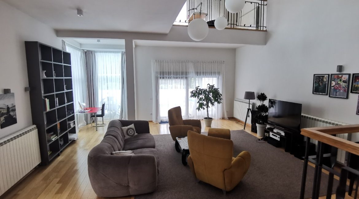 Dedinje house with swimming pool for rent (4)