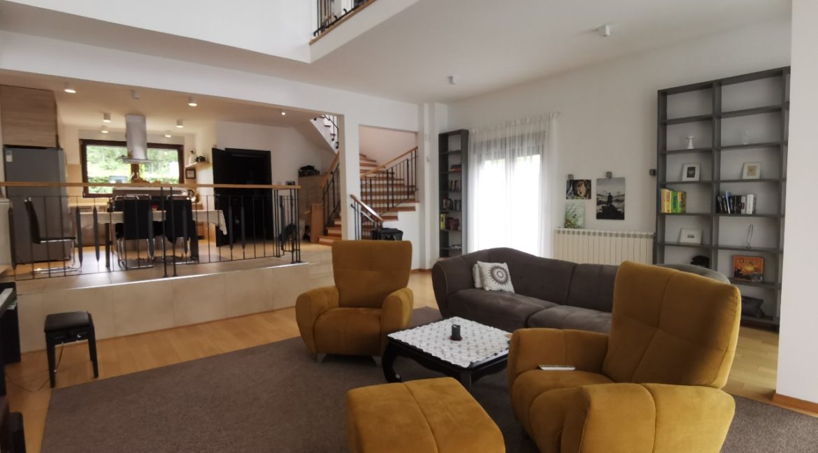 Dedinje house with swimming pool for rent (7)