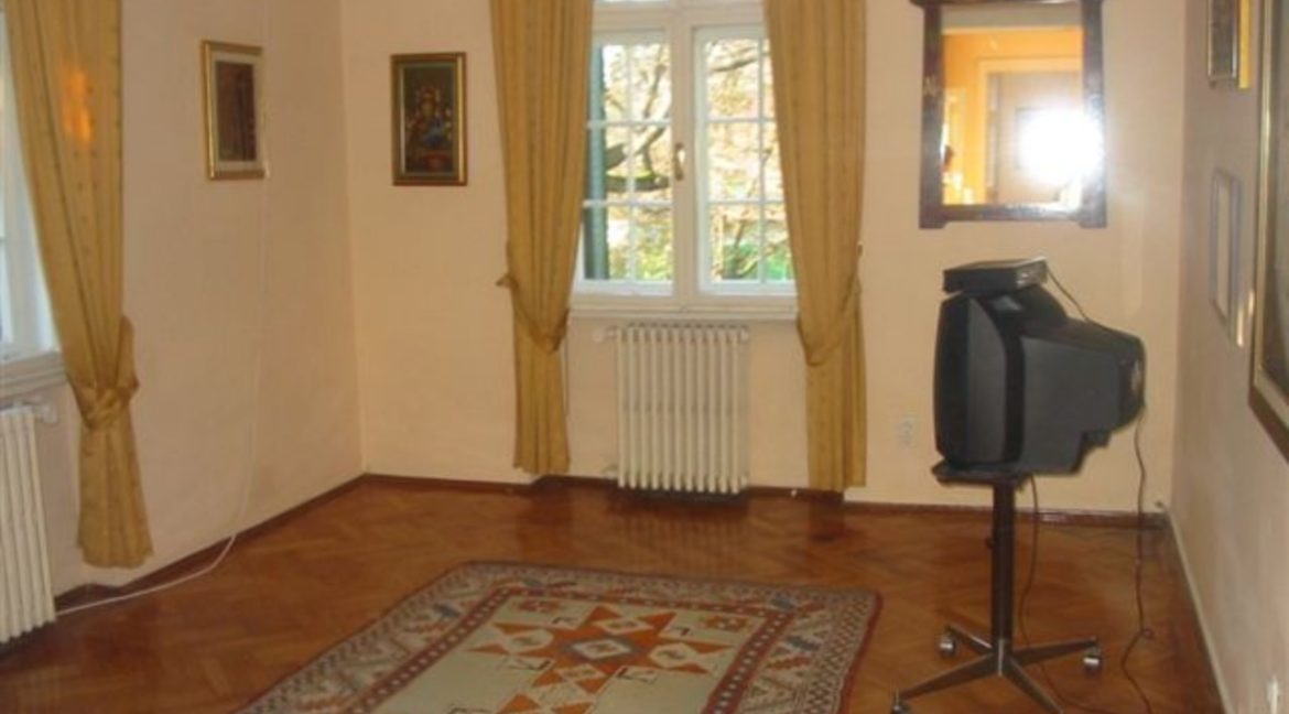 Rent lux house dedinje (3)