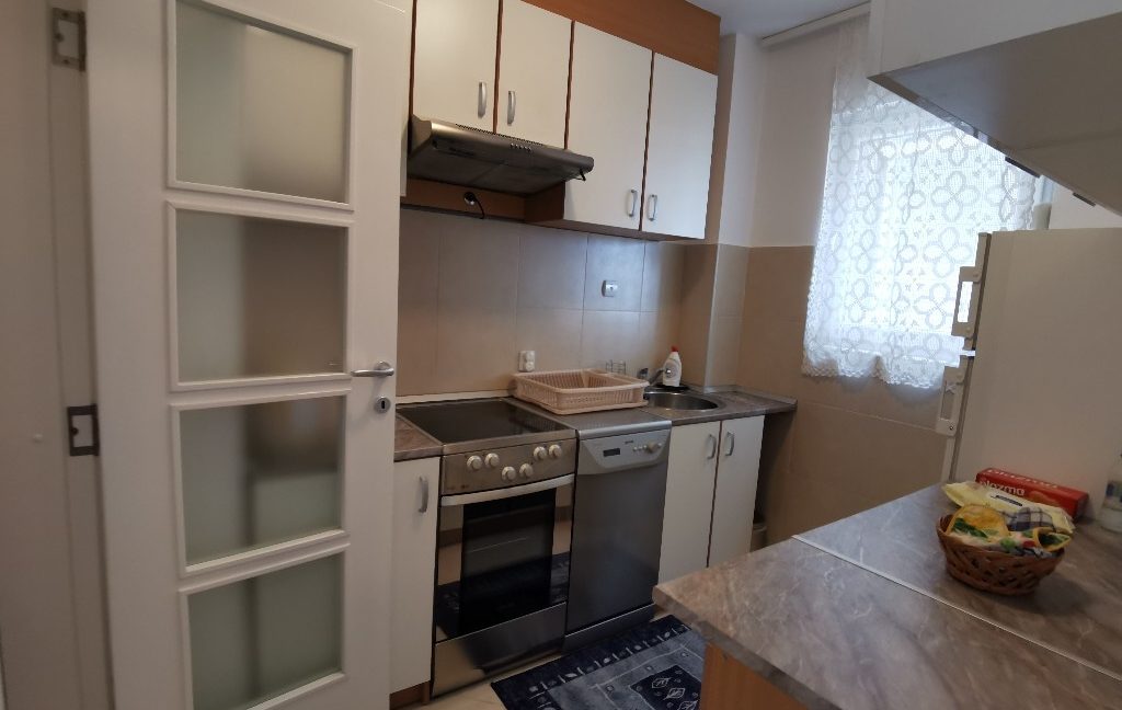 centar 60m2 luksuzan apartman za izdavanje (10)