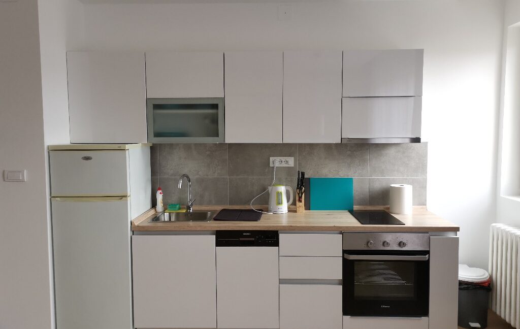 RentapartmentBelgrade (11)