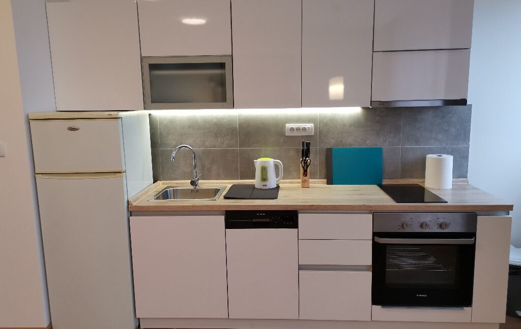 RentapartmentBelgrade (6)