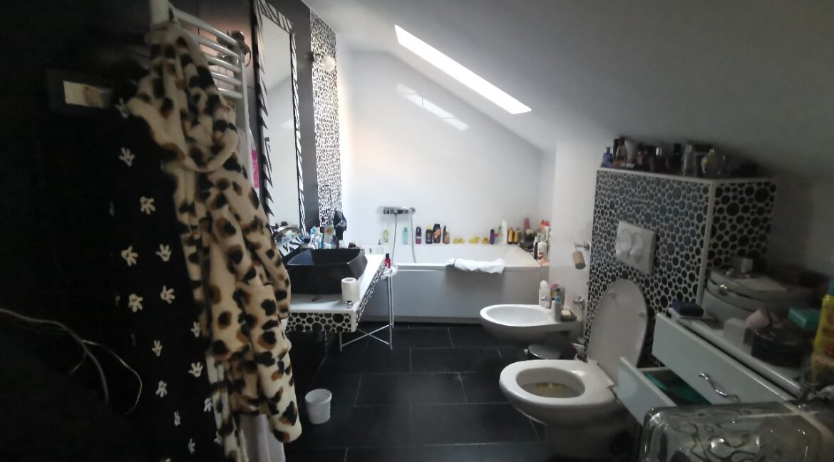 Belgrade center house for sale or rent (2)