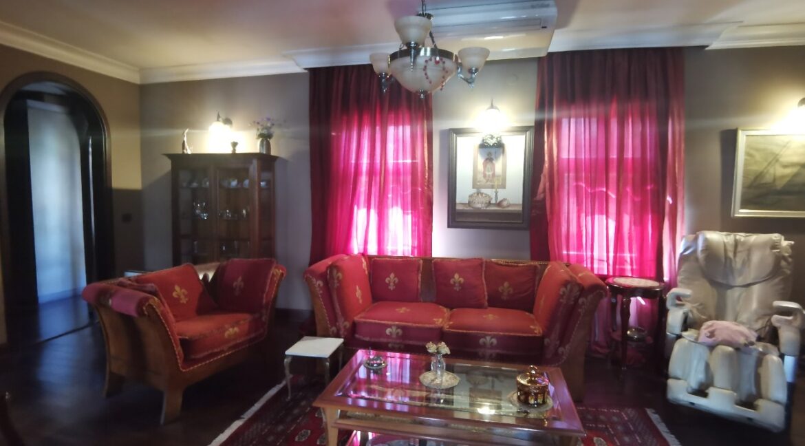 Belgrade center house for sale or rent (5)