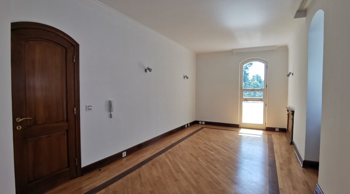 Dedinje luxury house for sale (1)