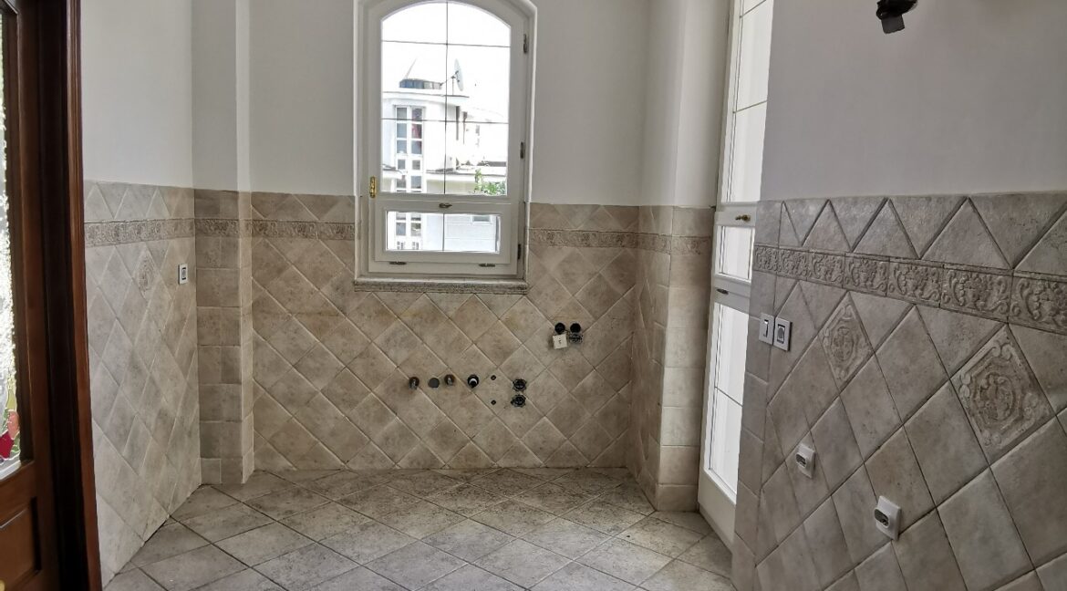 Dedinje luxury house for sale (14)